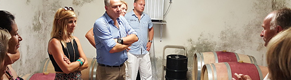 Cantine Stucky-Hügin