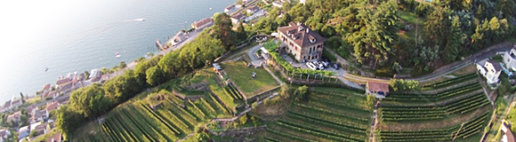 Cantine Stucky-Hügin