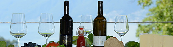 Cantine Stucky-Hügin